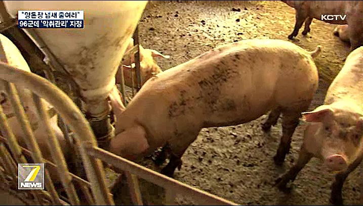 KCTV News7