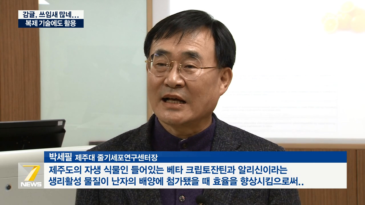 KCTV News7