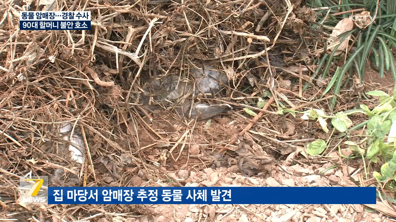 KCTV News7