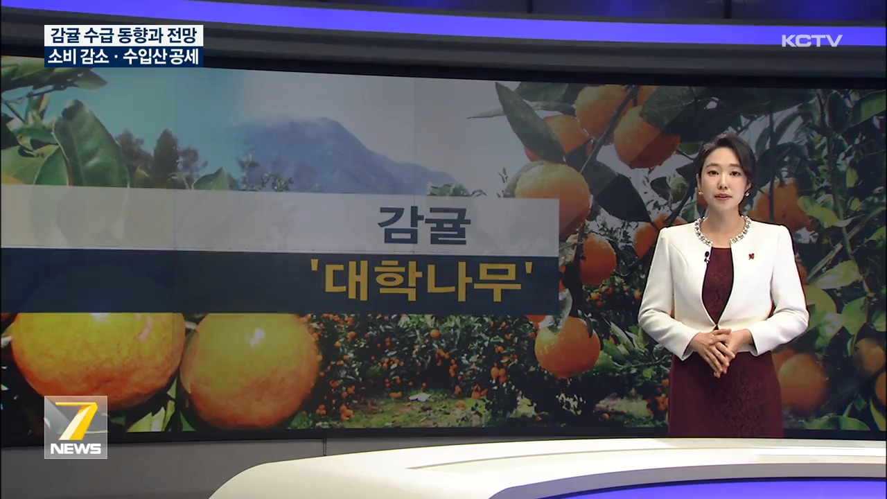KCTV News7