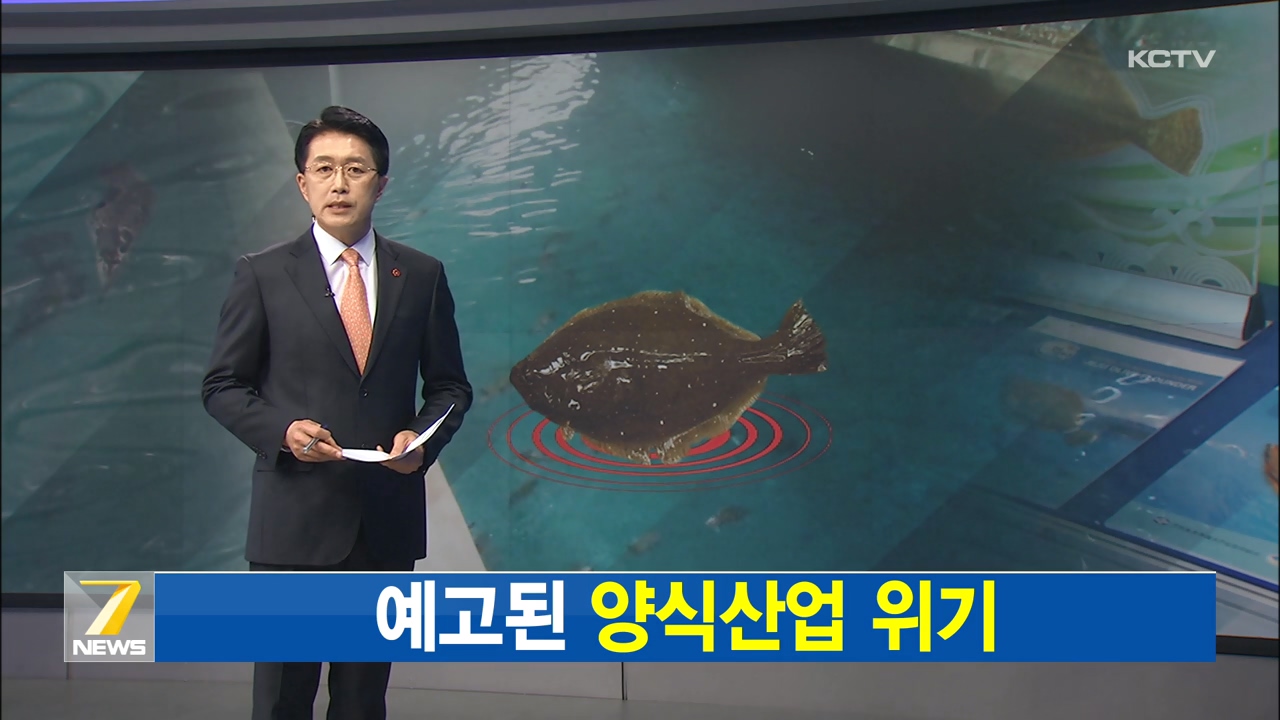 KCTV News7