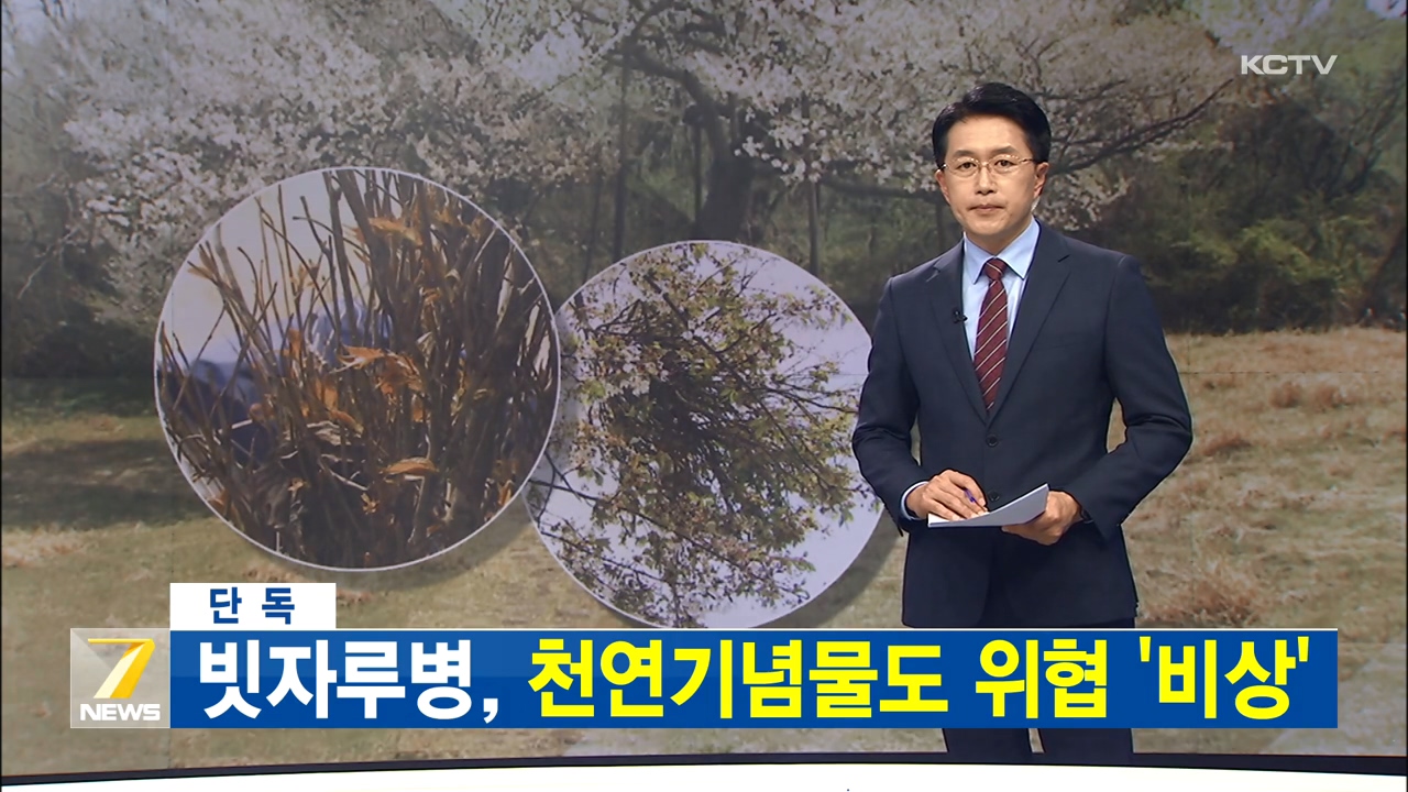 KCTV News7