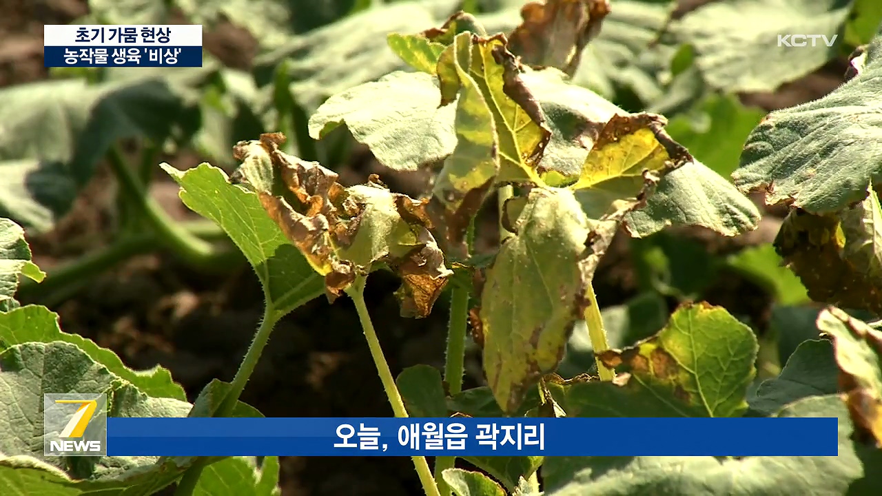 KCTV News7