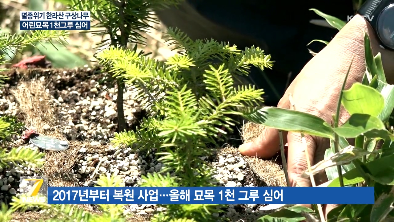 KCTV News7