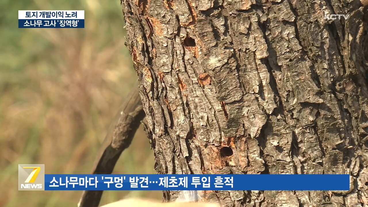 KCTV News7