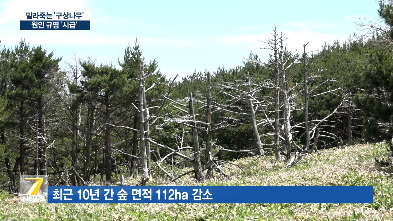 KCTV News7