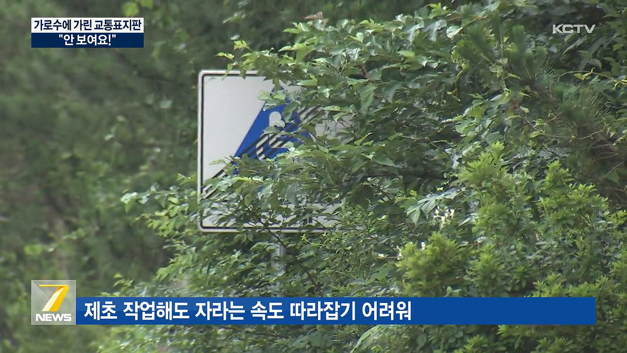 KCTV News7