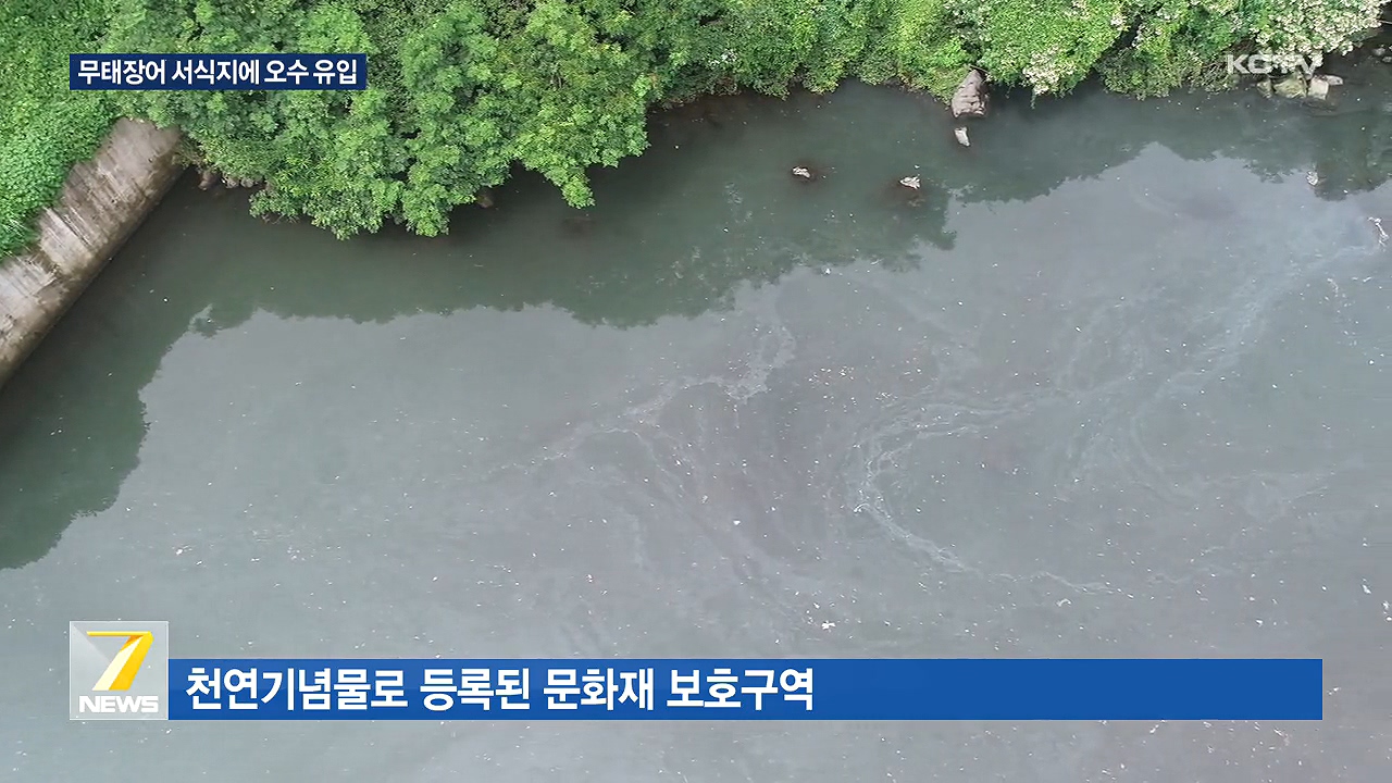 KCTV News7