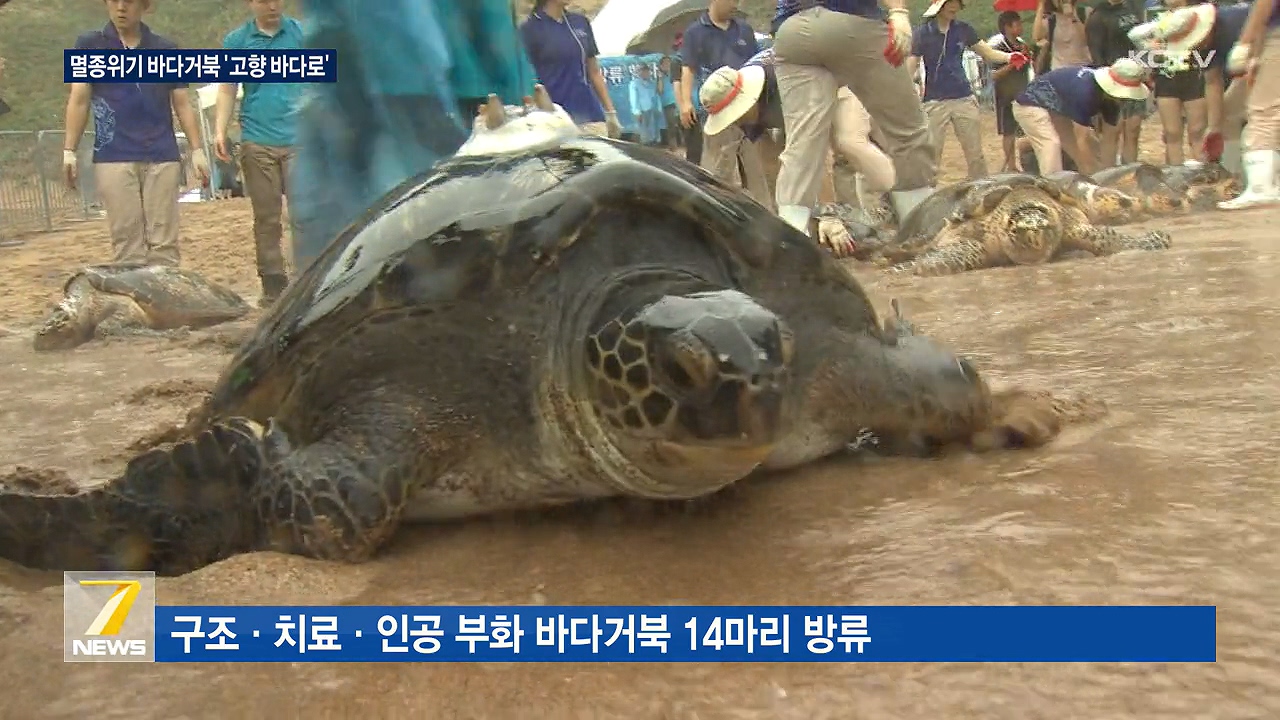 KCTV News7