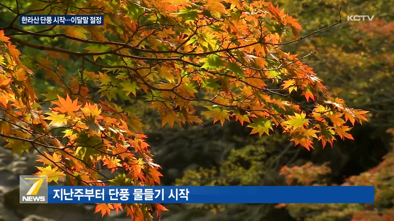 KCTV News7