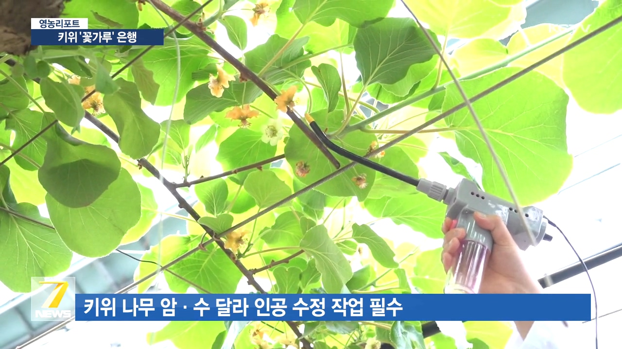 KCTV News7