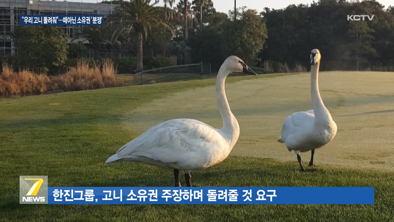 KCTV News7