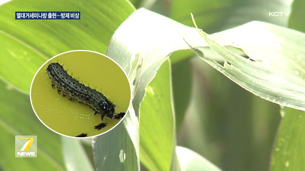 KCTV News7