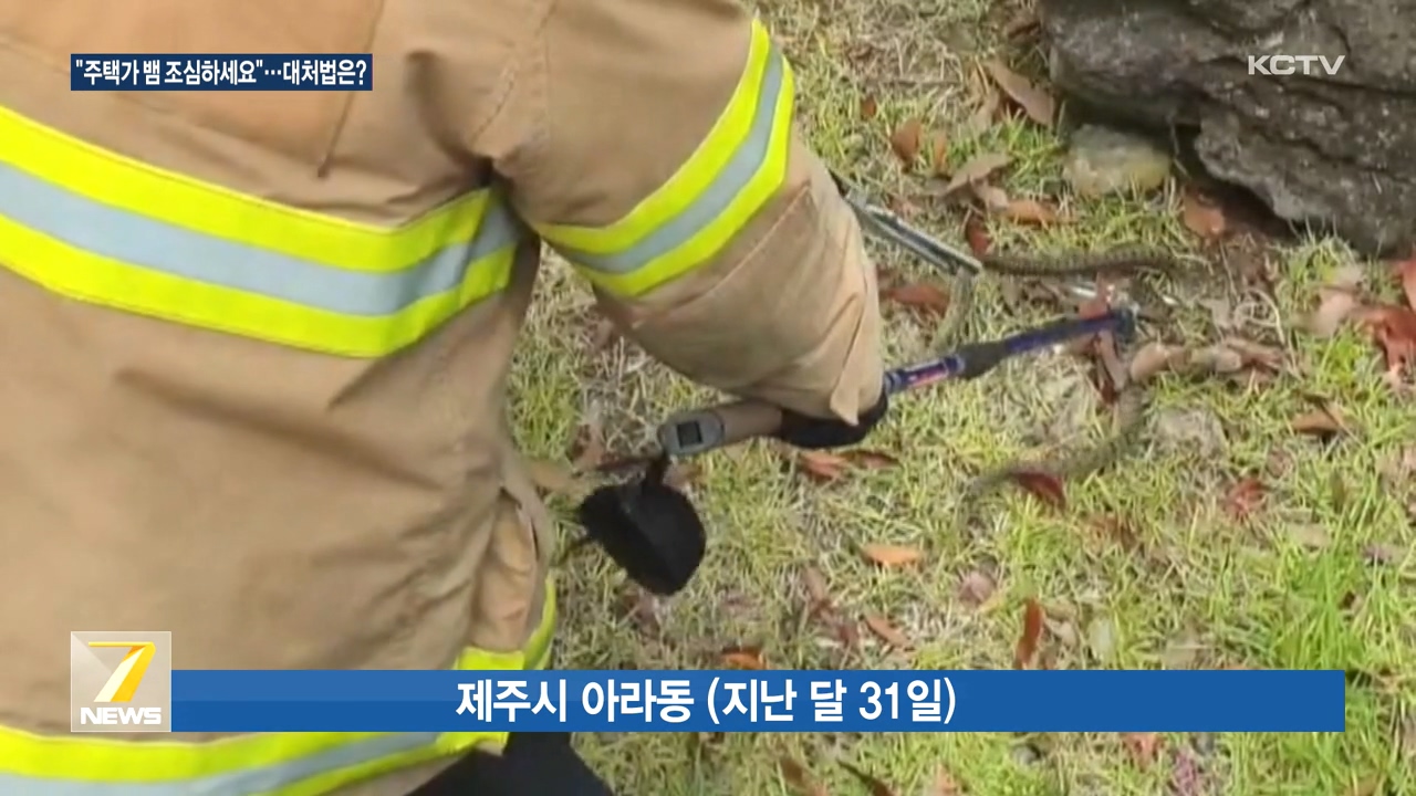 KCTV News7