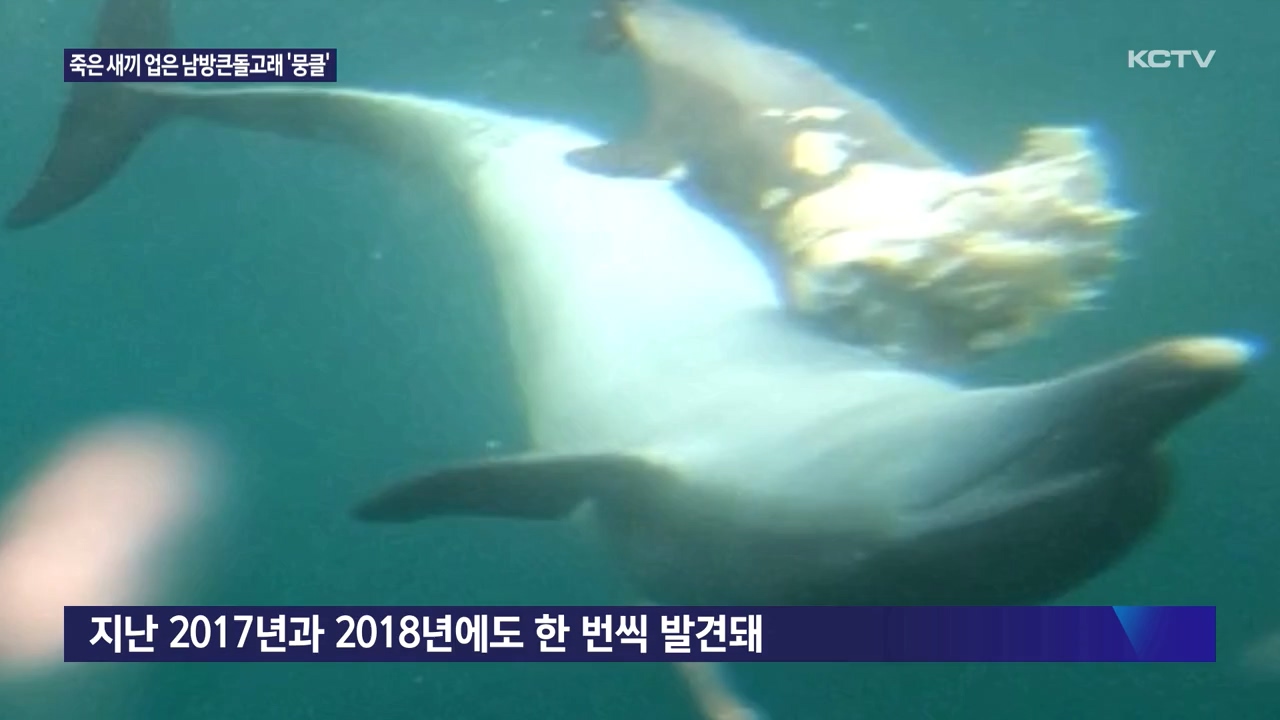 KCTV News7