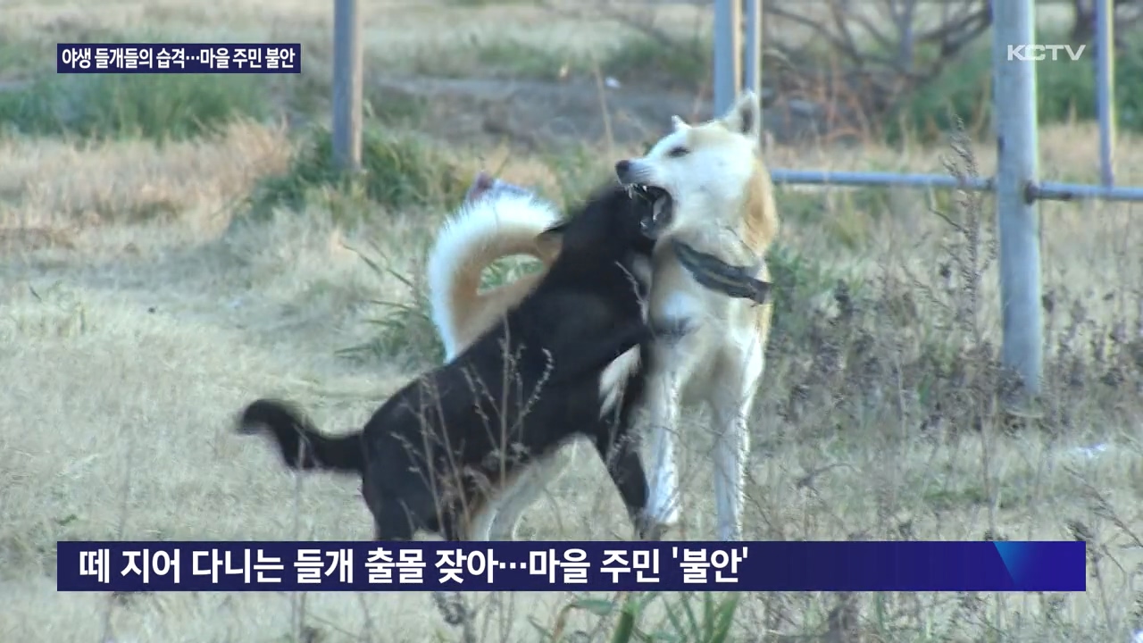 KCTV News7