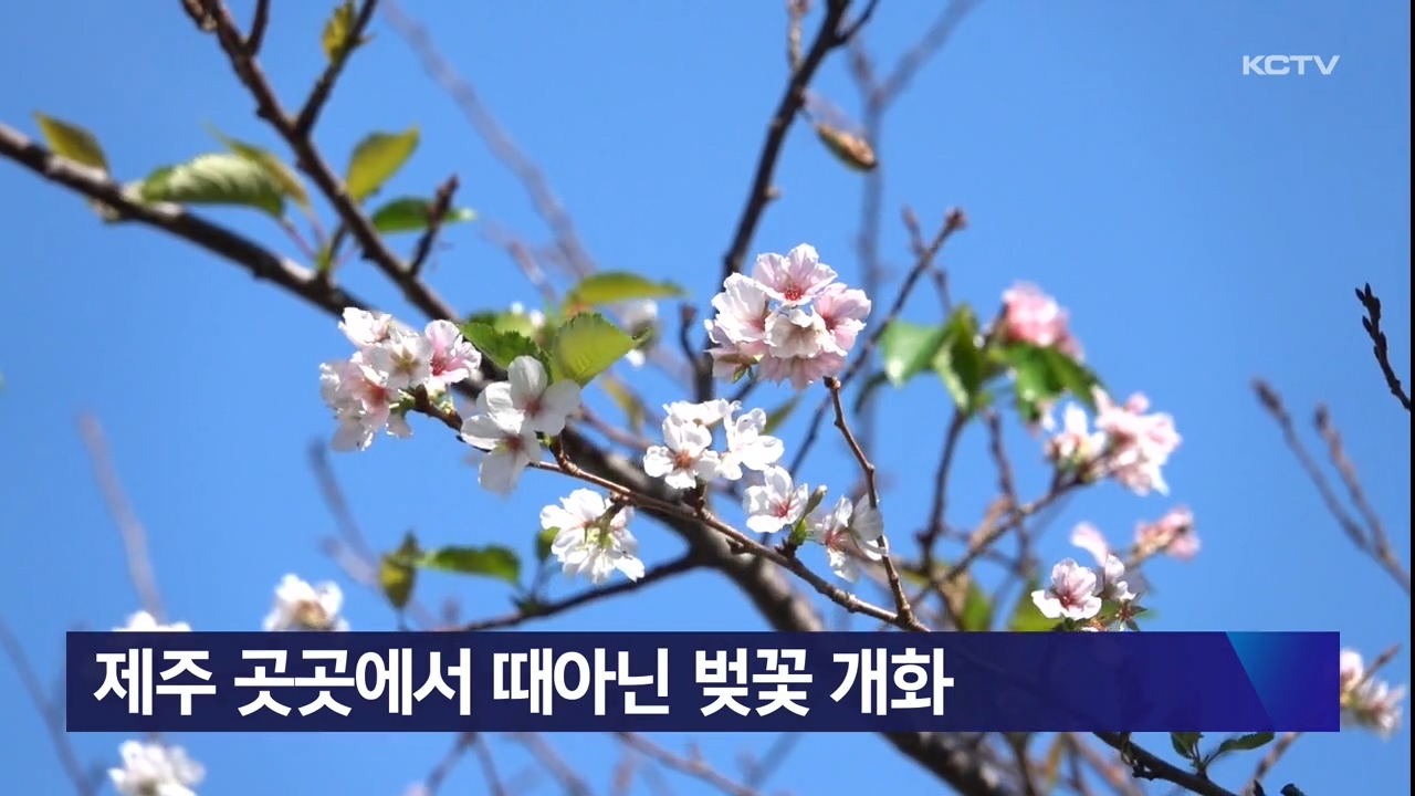 KCTV News7