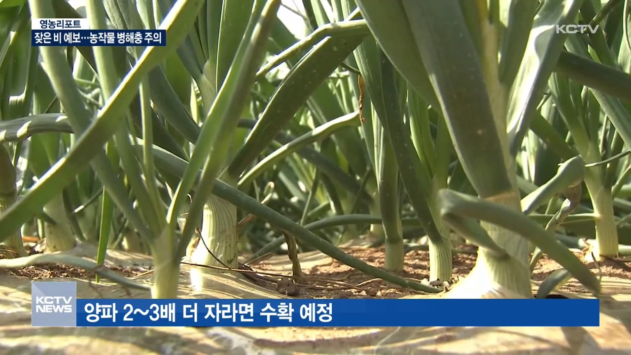 KCTV News7