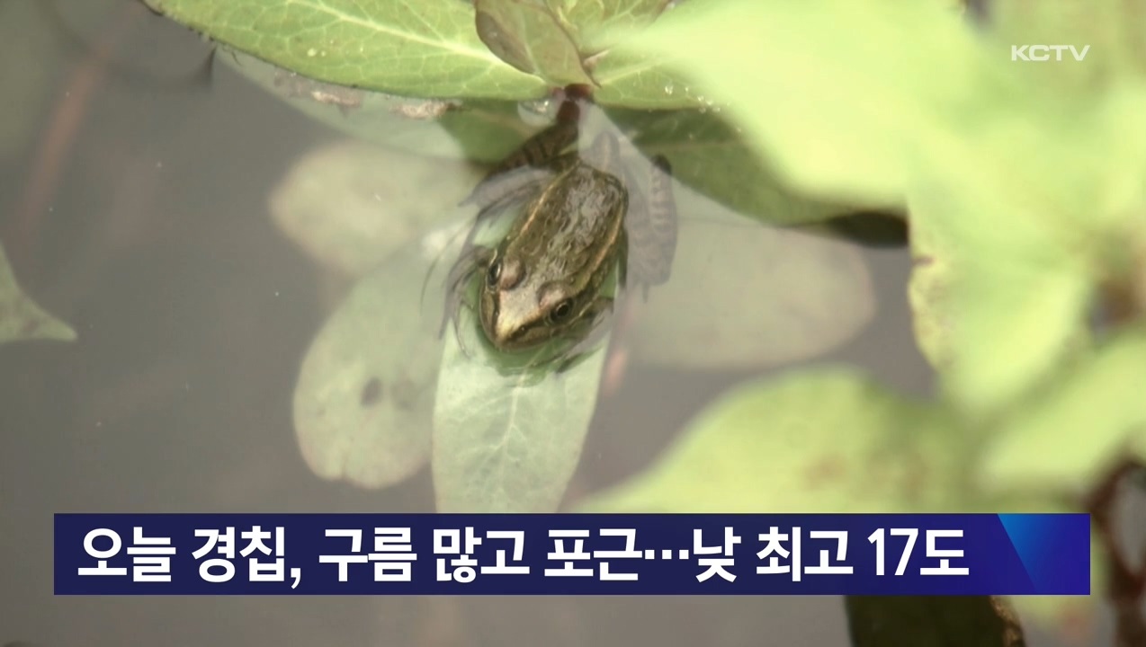 KCTV News7