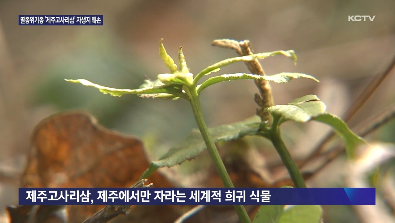 KCTV News7