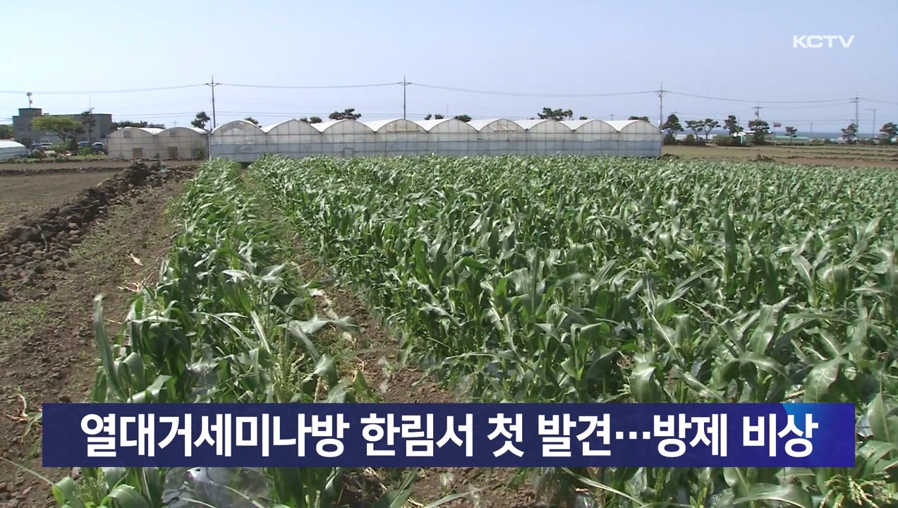KCTV News7