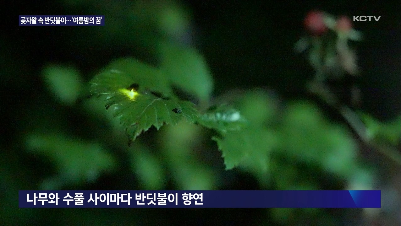 KCTV News7