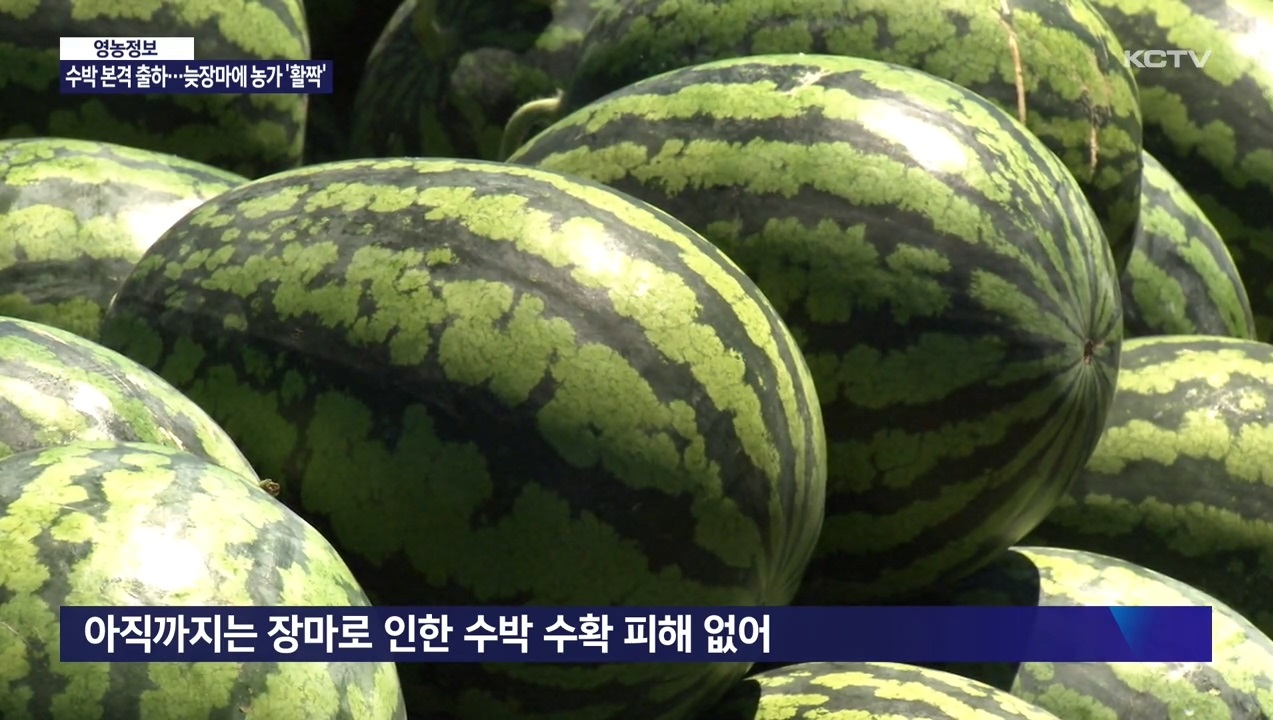 KCTV News7