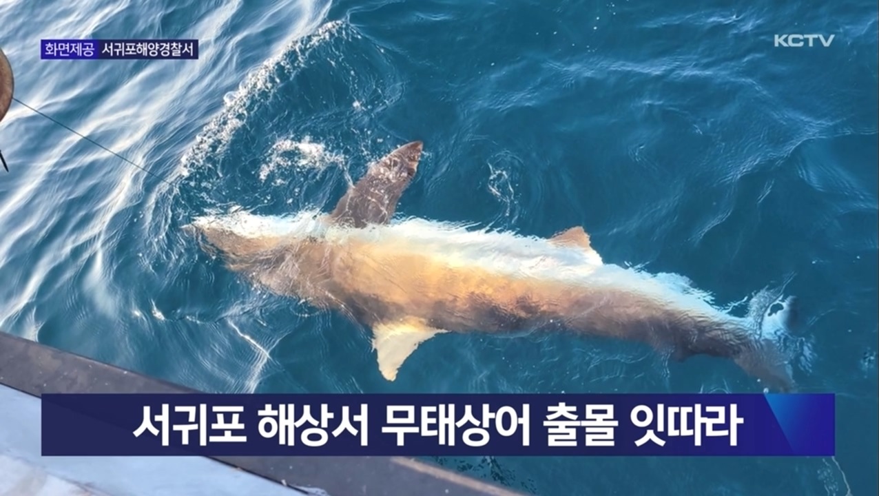KCTV News7