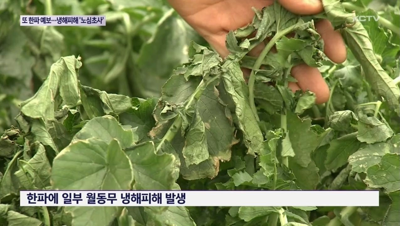 KCTV News7