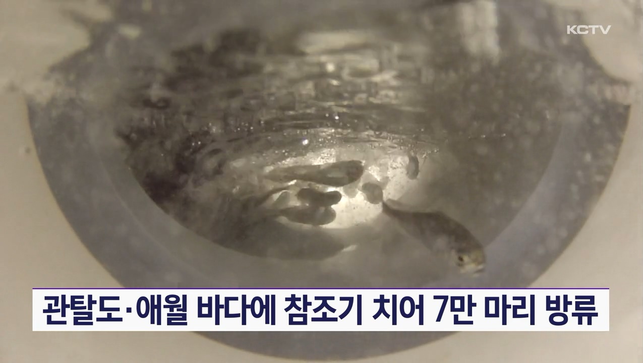 KCTV News7