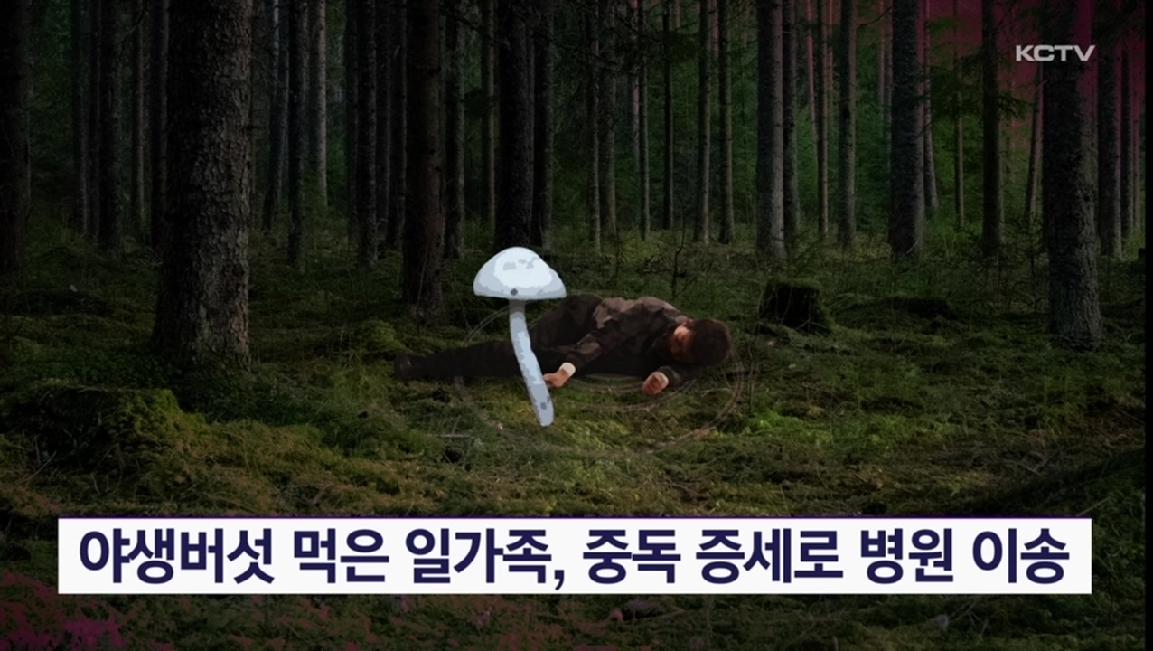 KCTV News7
