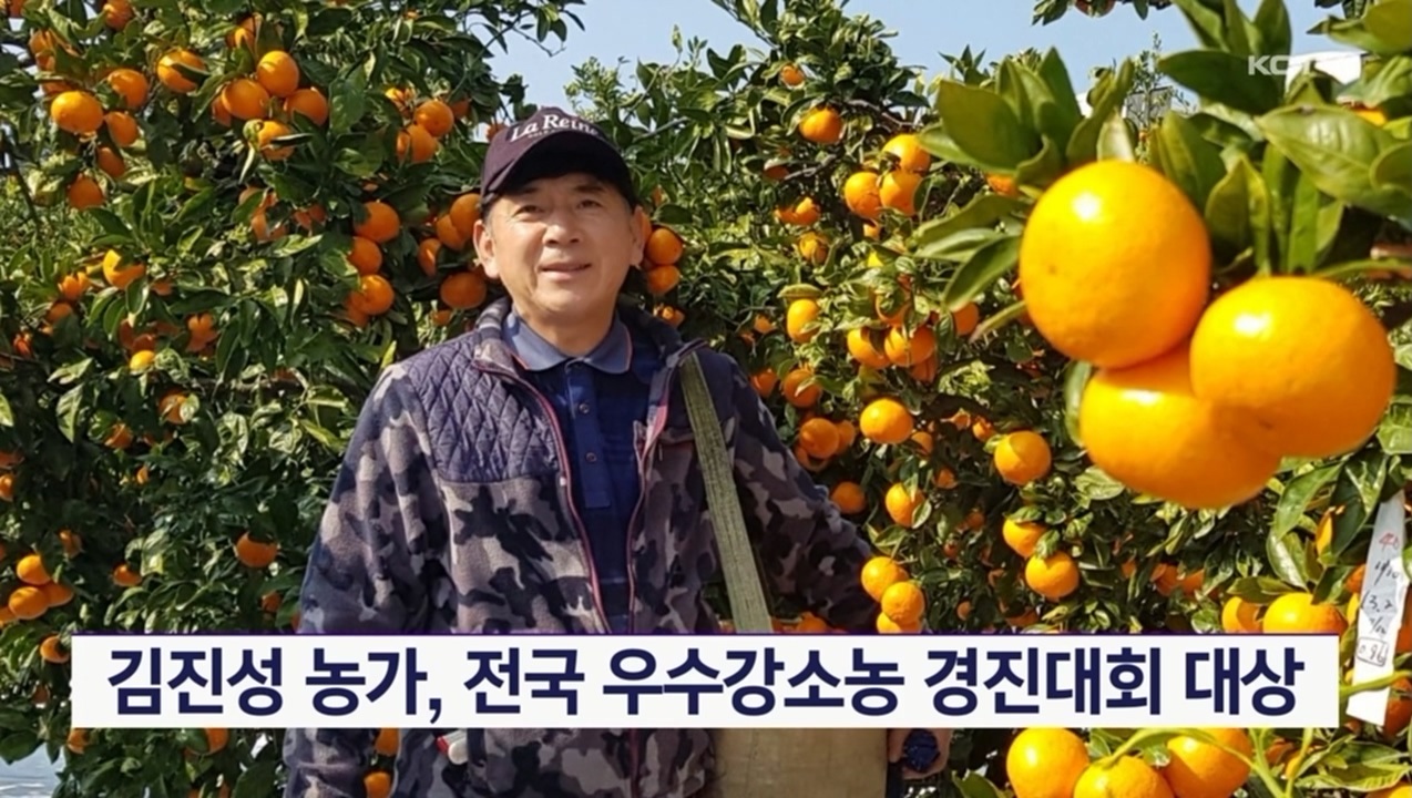 KCTV News7
