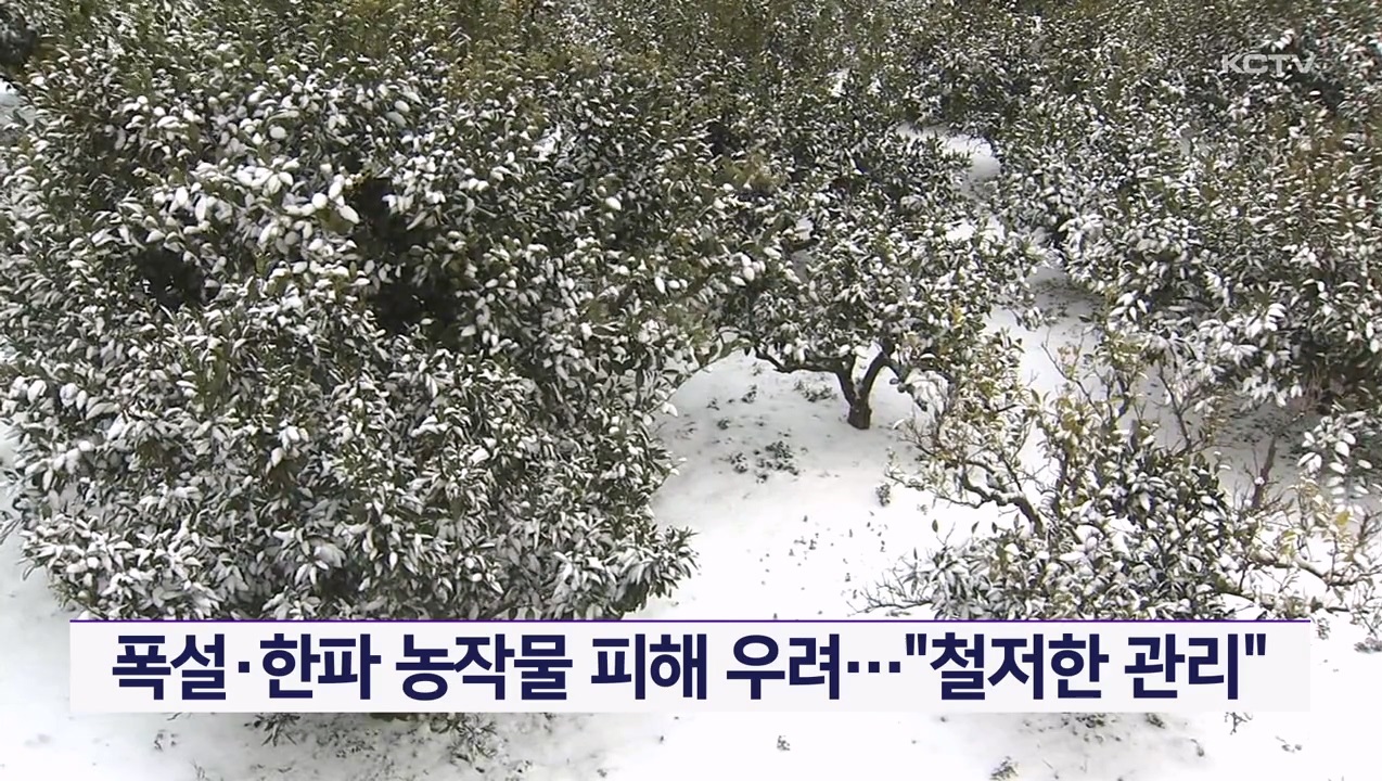 KCTV News7