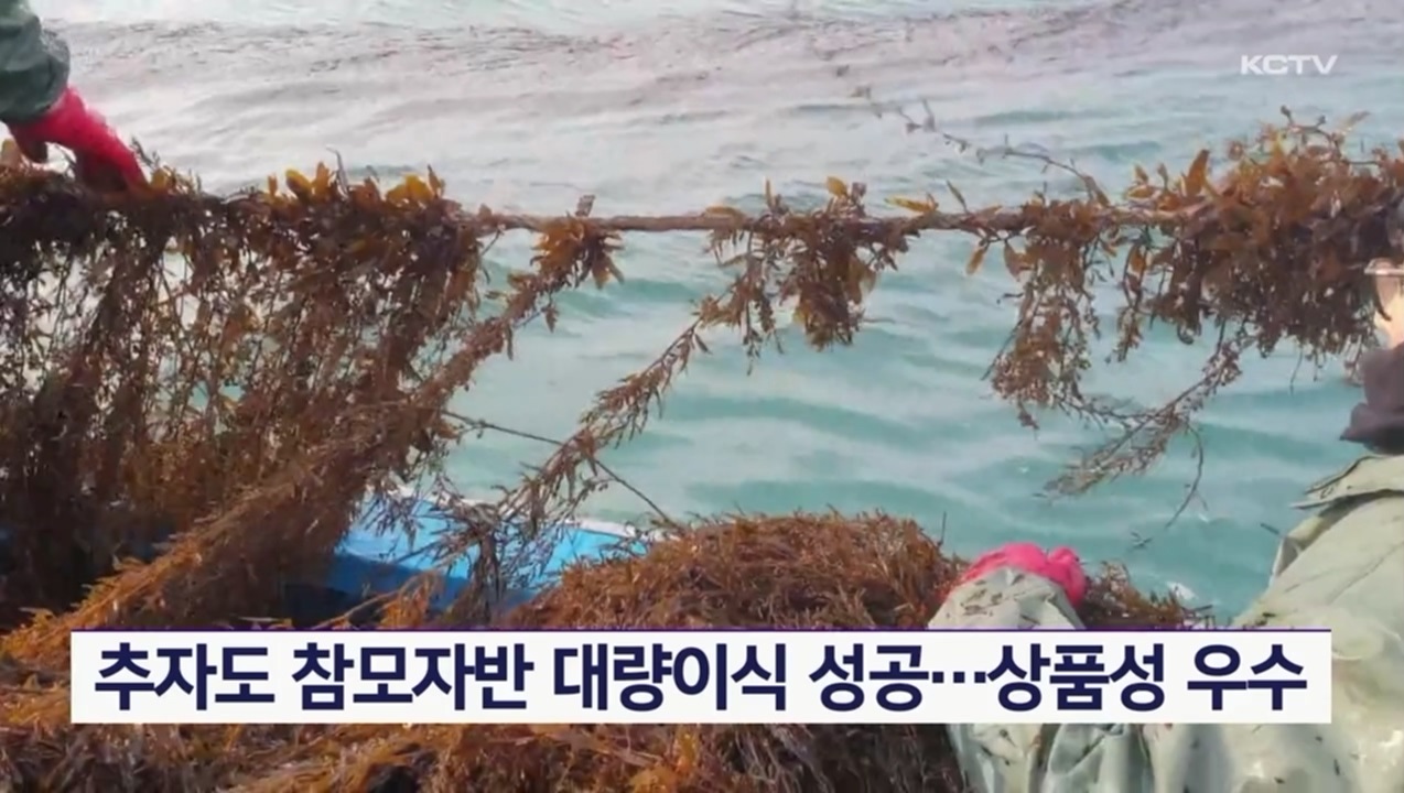 KCTV News7