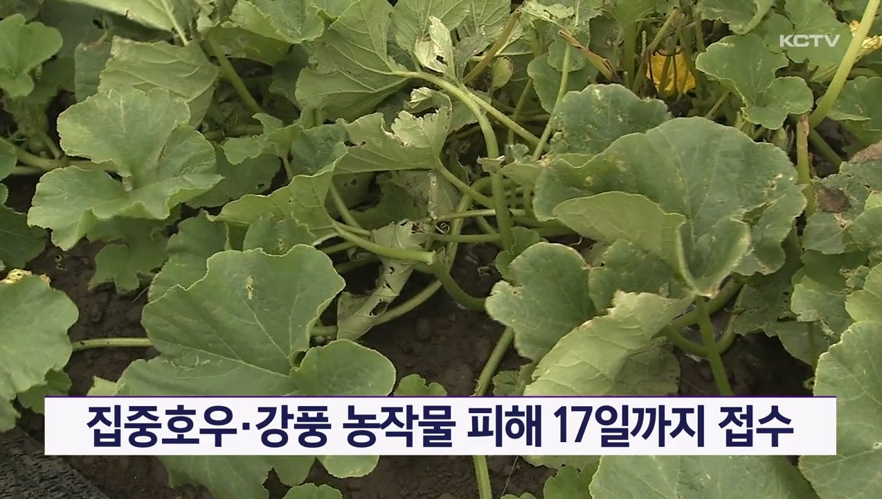 KCTV News7