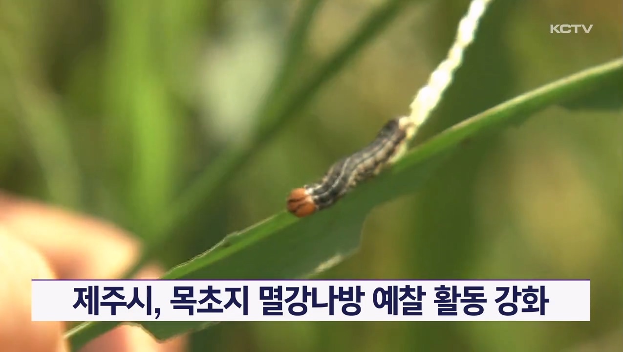 KCTV News7