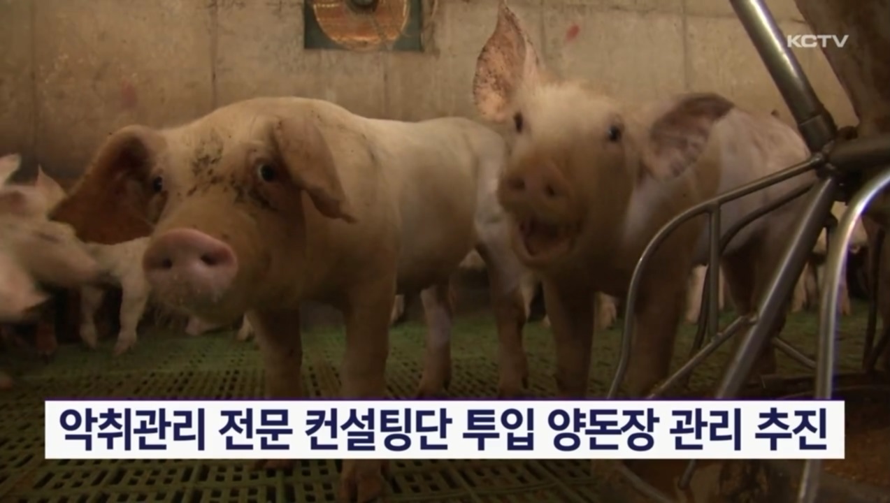 KCTV News7
