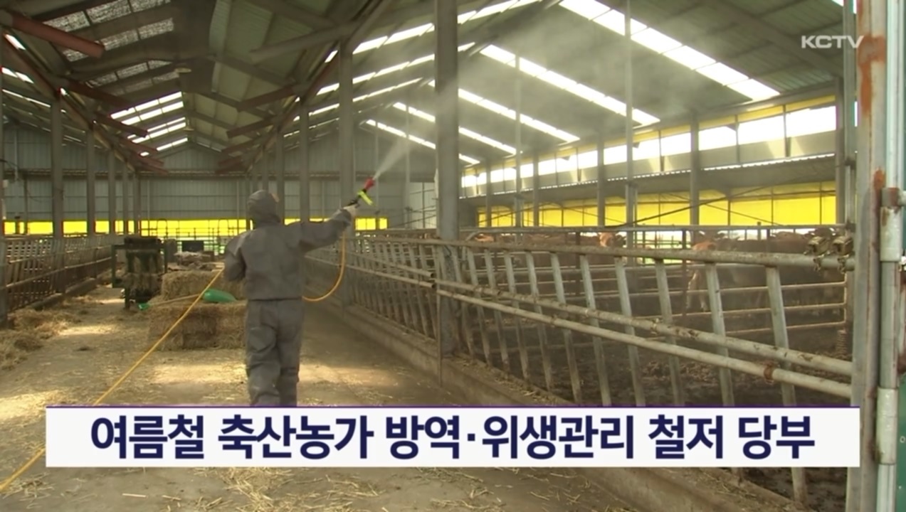 KCTV News7