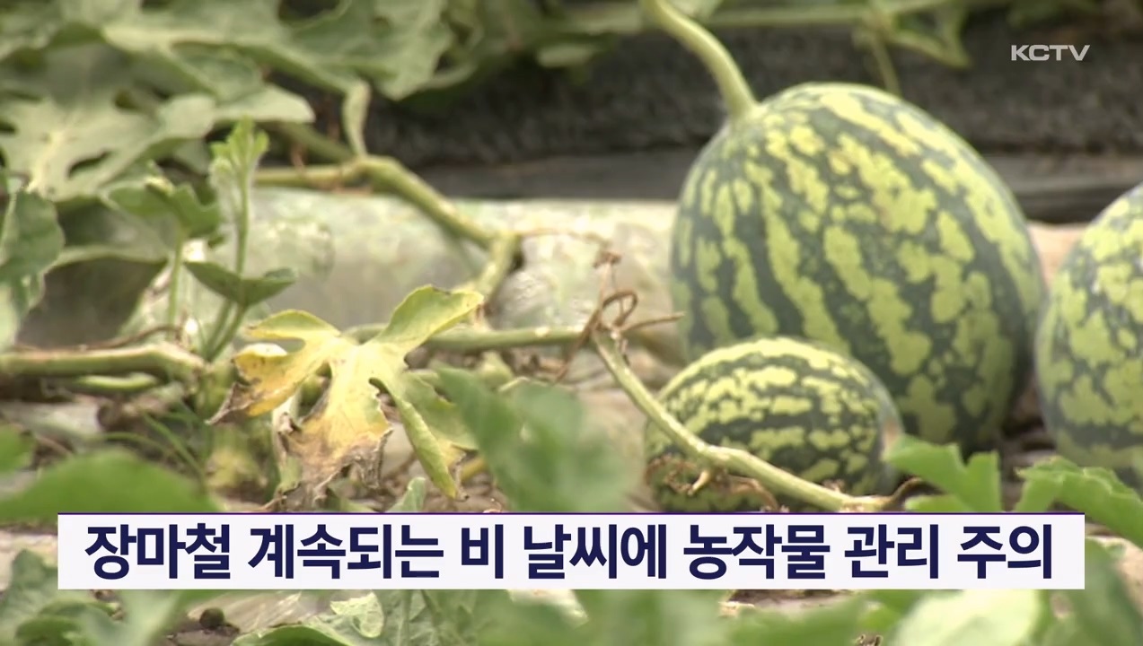 KCTV News7
