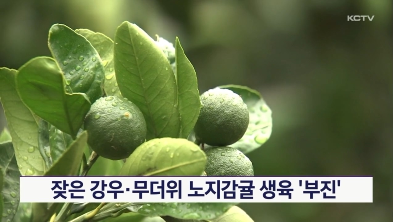 KCTV News7