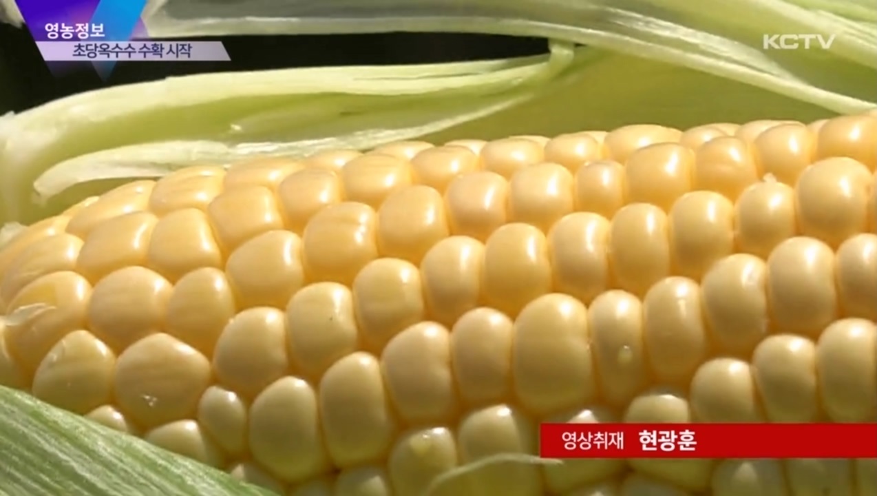 KCTV News7