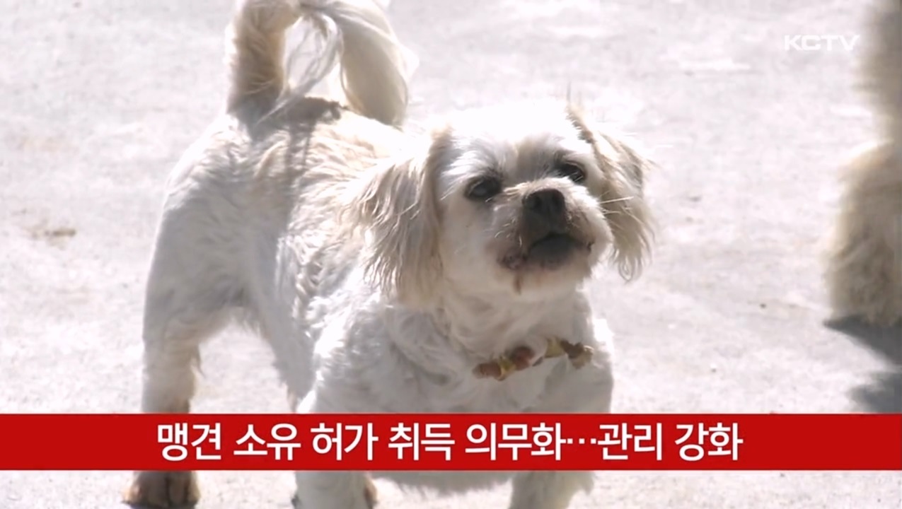 KCTV News7