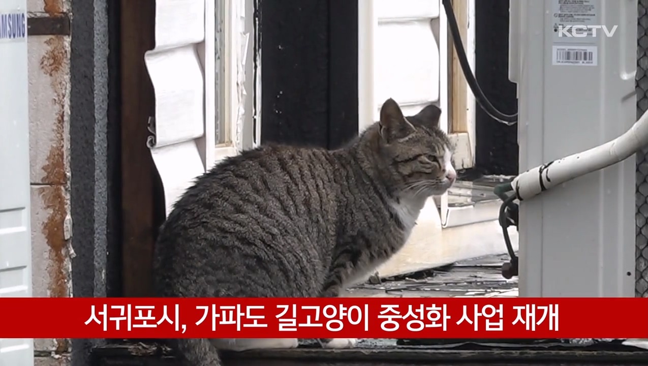 KCTV News7