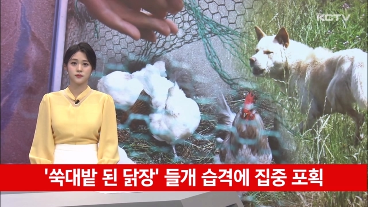 KCTV News7