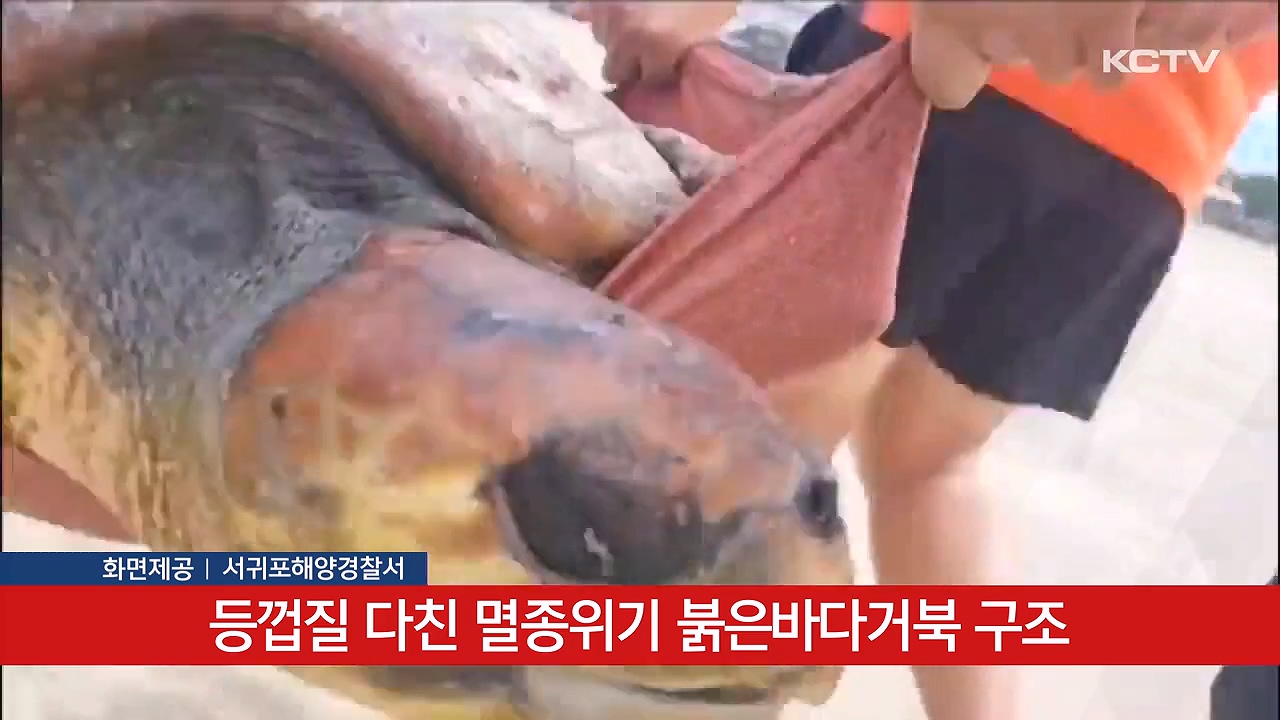 KCTV News7