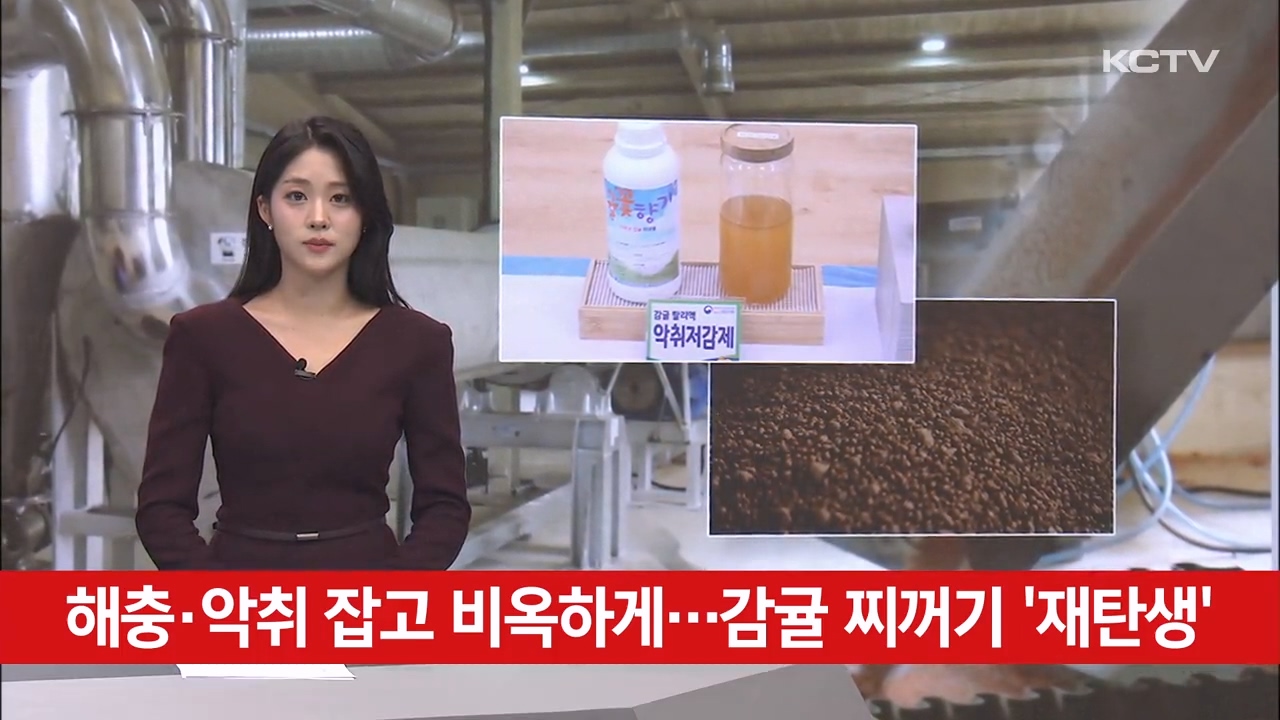KCTV News7