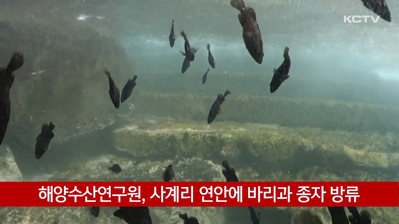 KCTV News7