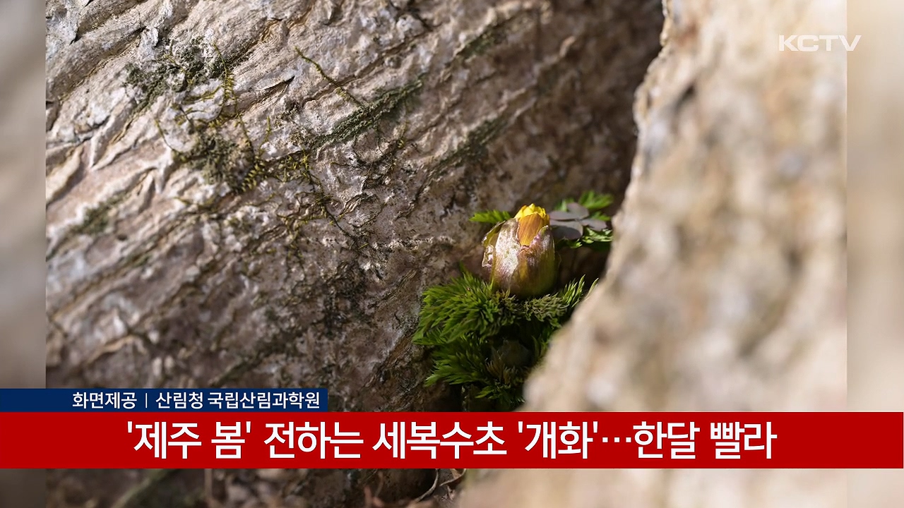 KCTV News7