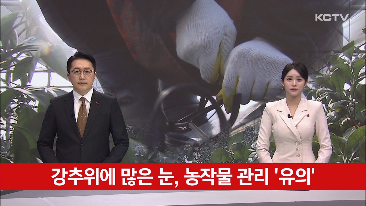 KCTV News7