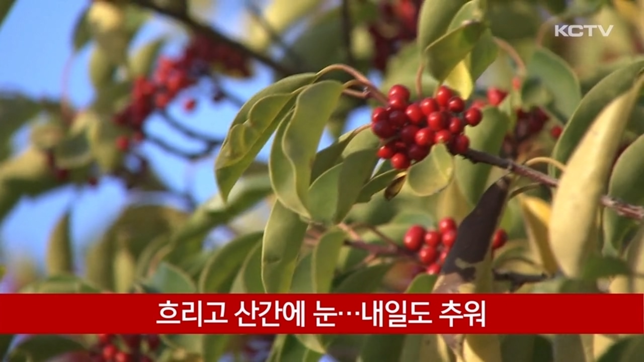 KCTV News7